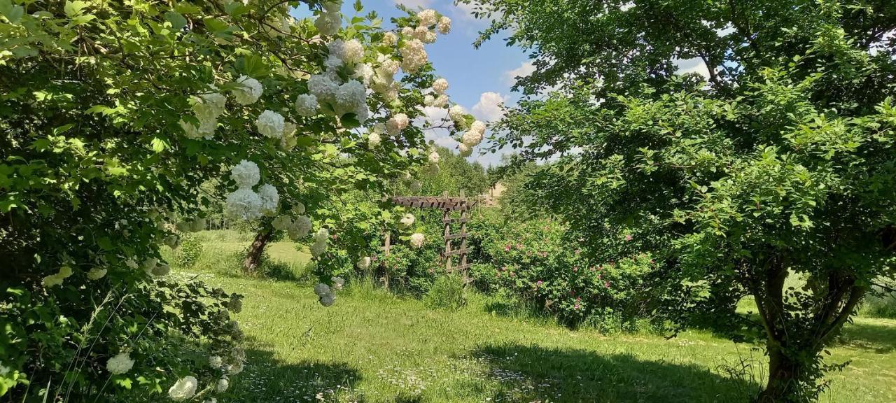Dom gościnny LERKA Mazury jeziora lasy Lakorz Zewnętrze zdjęcie