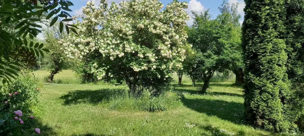 Dom gościnny LERKA Mazury jeziora lasy Lakorz Zewnętrze zdjęcie