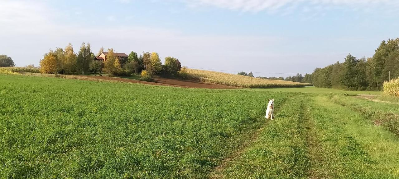 Dom gościnny LERKA Mazury jeziora lasy Lakorz Zewnętrze zdjęcie