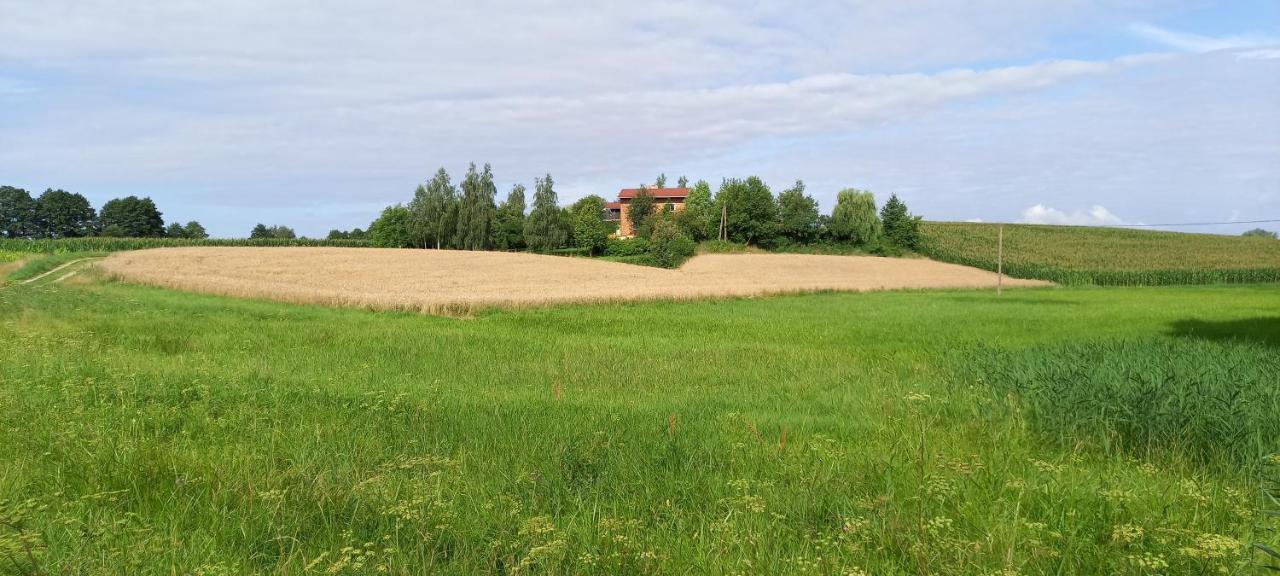 Dom gościnny LERKA Mazury jeziora lasy Lakorz Zewnętrze zdjęcie