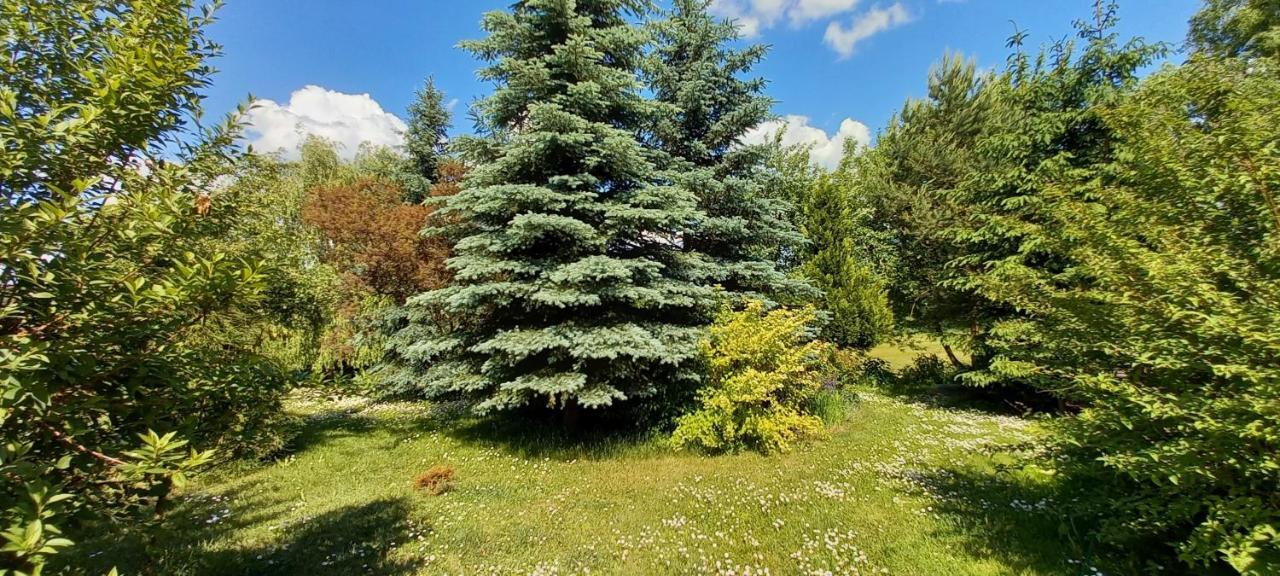 Dom gościnny LERKA Mazury jeziora lasy Lakorz Zewnętrze zdjęcie
