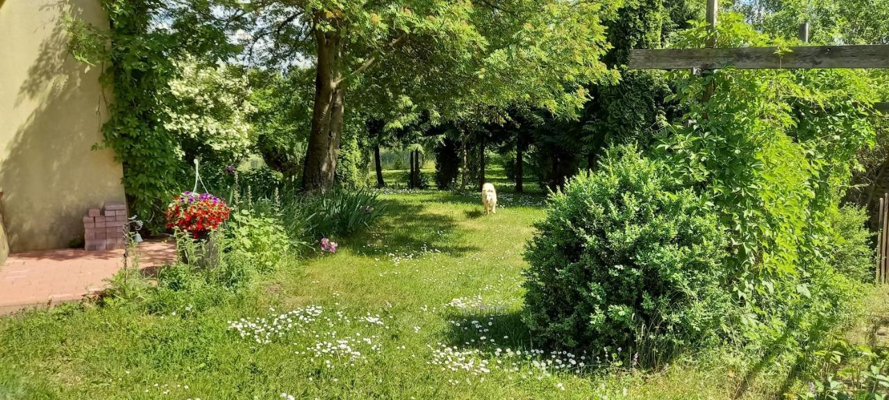 Dom gościnny LERKA Mazury jeziora lasy Lakorz Zewnętrze zdjęcie