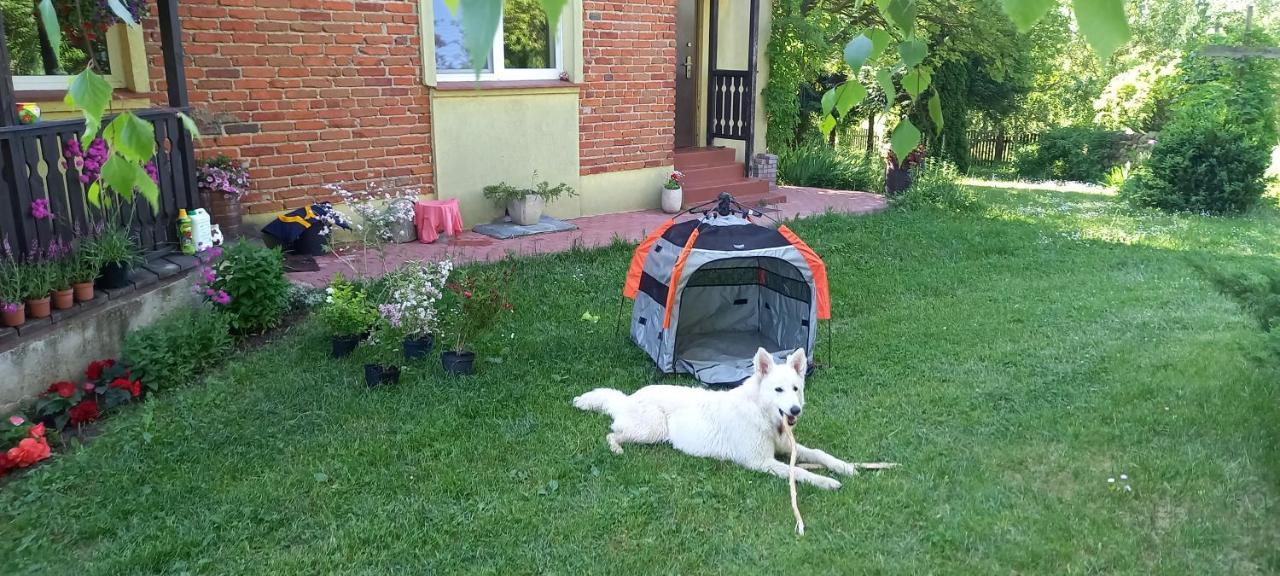 Dom gościnny LERKA Mazury jeziora lasy Lakorz Zewnętrze zdjęcie